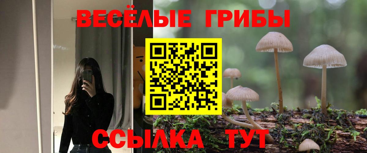 Псилоцибиновые грибы MAGIC MUSHROOMS  Вход с VPN  наркошоп  Горячий Ключ  Псилоцибиновые грибы Magic Shrooms 